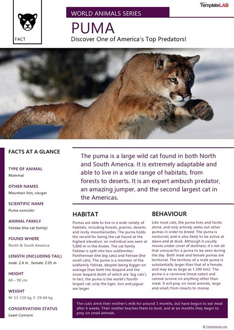 gszix fact sheet.